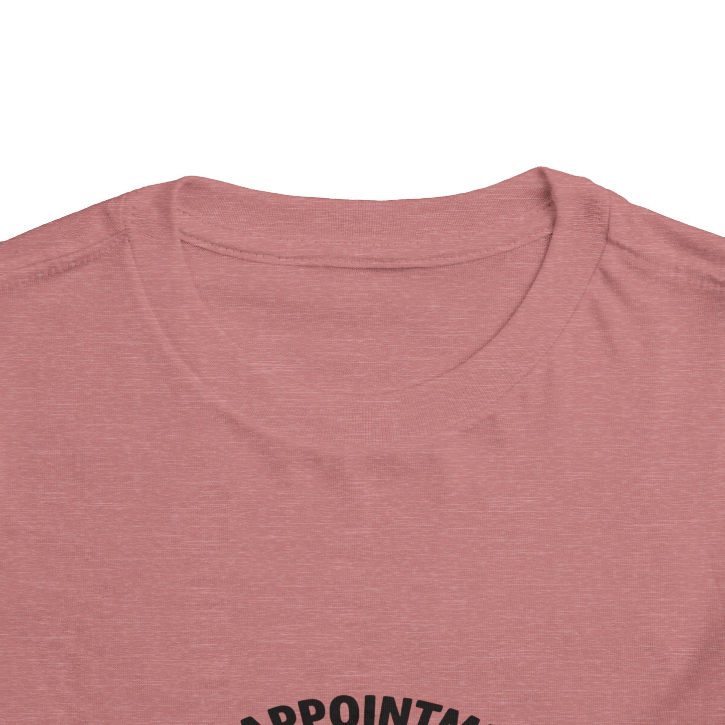 Disappointments: Jesus Toddler Christmas Tee