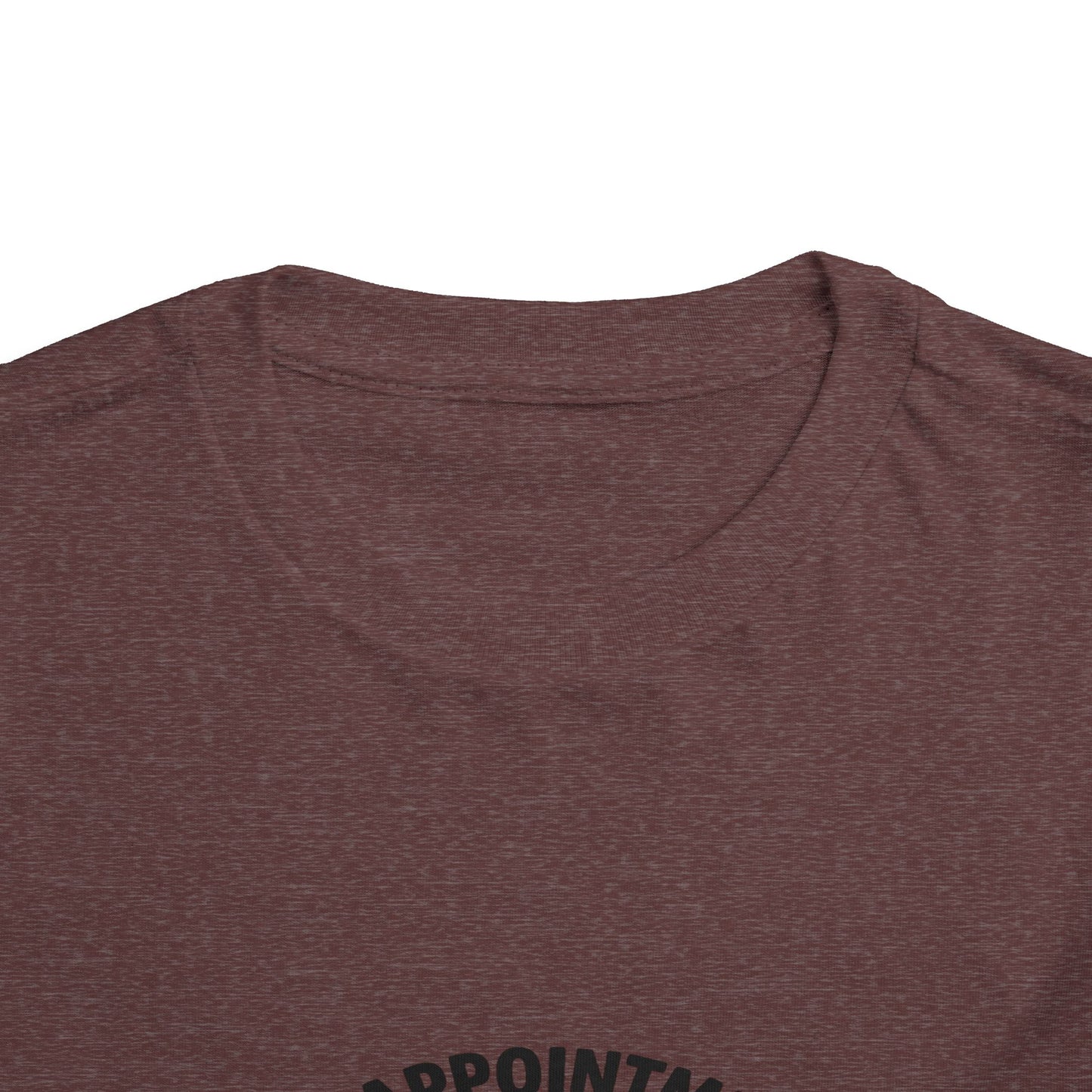 Disappointments: Jesus Toddler Christmas Tee