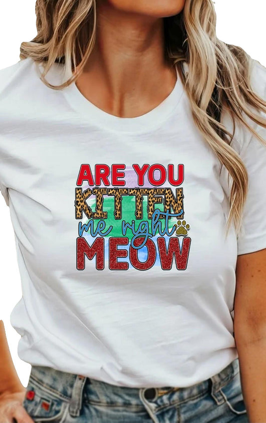 Are You Kitten Me Right Meow T-Shirt