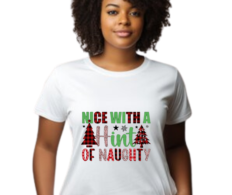 Nice With A Hint Of Naughty Adult T-Shirt